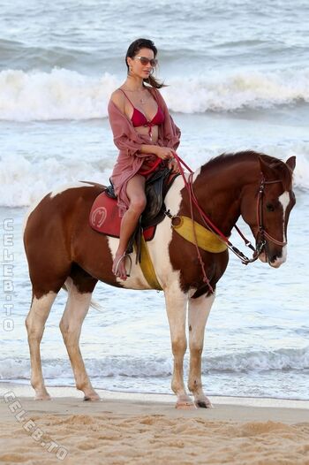 Alessandra ambrosio  page leaked private photo uncensored HD quality