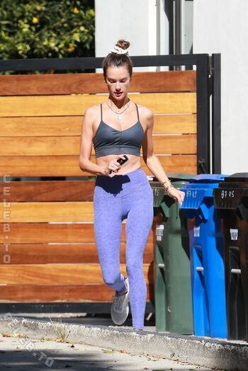 Alessandra ambrosio  page leaked private photo uncensored HD quality