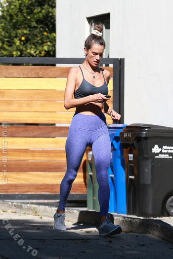 Alessandra ambrosio  page leaked private photo uncensored HD quality