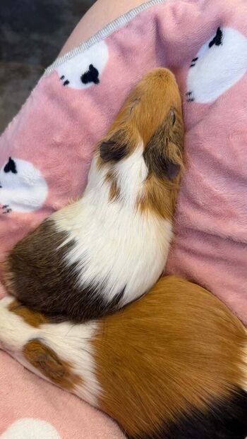 Catiescos  page leaked private photo uncensored HD quality