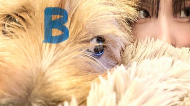 Hirai momo leaked private photo uncensored HD quality