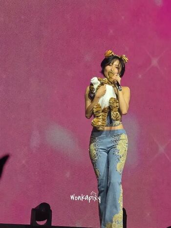 Hwasa leaked private photo uncensored HD quality
