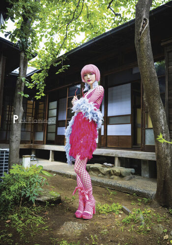 Jav actress gravure page leaked private photo uncensored HD quality