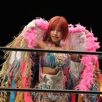 Mina shirakawa leaked private photo uncensored HD quality