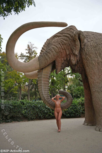 Nude in public leaked private photo uncensored HD quality