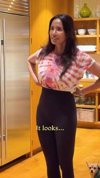 Padma lakshmi leaked private photo uncensored HD quality