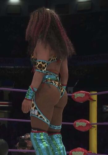 Sasha banks page leaked private photo uncensored HD quality