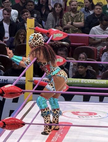 Sasha banks page leaked private photo uncensored HD quality