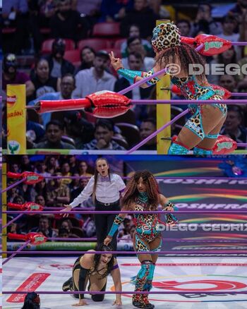 Sasha banks page leaked private photo uncensored HD quality
