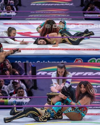 Sasha banks page leaked private photo uncensored HD quality