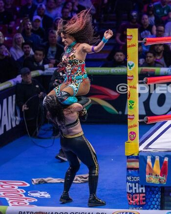 Sasha banks page leaked private photo uncensored HD quality
