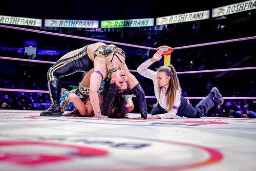 Sasha banks page leaked private photo uncensored HD quality