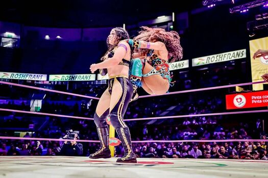 Sasha banks page leaked private photo uncensored HD quality