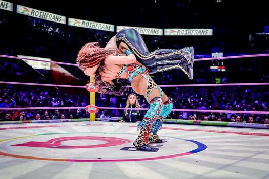 Sasha banks page leaked private photo uncensored HD quality