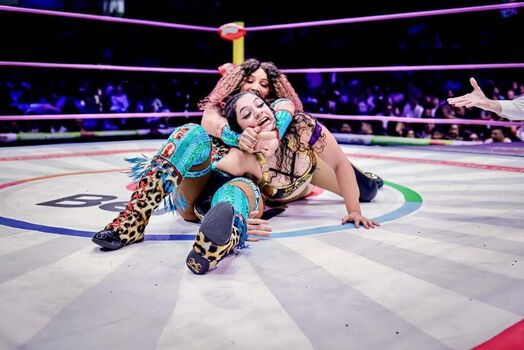 Sasha banks page leaked private photo uncensored HD quality
