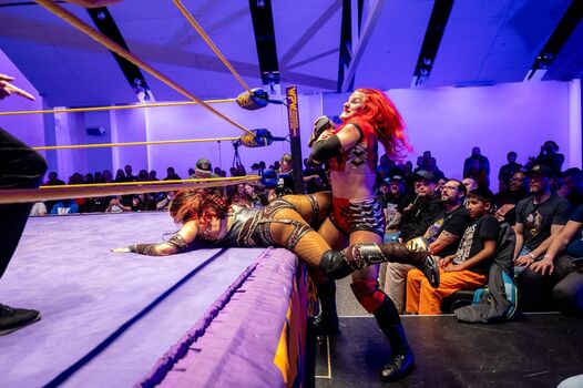 Sasha banks page leaked private photo uncensored HD quality