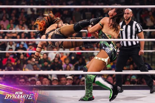 Sasha banks page leaked private photo uncensored HD quality