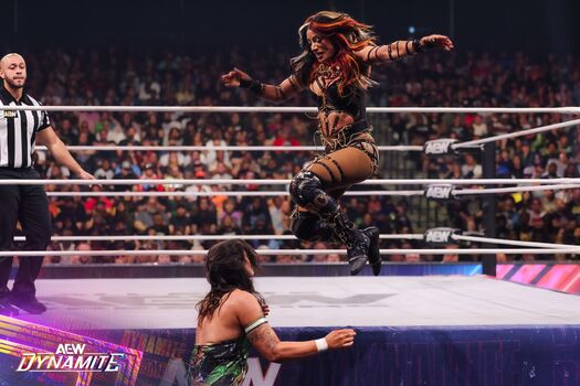 Sasha banks page leaked private photo uncensored HD quality