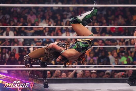 Sasha banks page leaked private photo uncensored HD quality