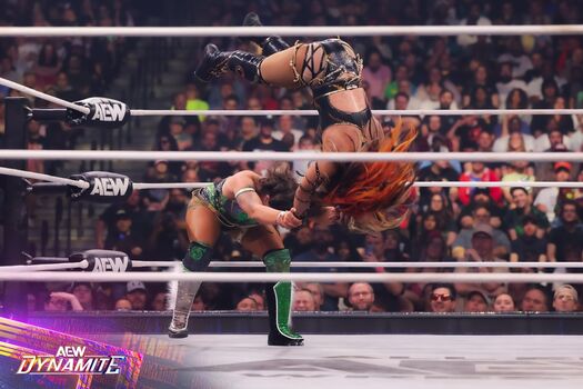 Sasha banks page leaked private photo uncensored HD quality