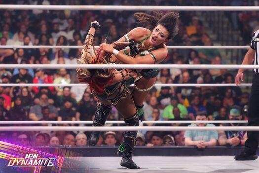 Sasha banks page leaked private photo uncensored HD quality