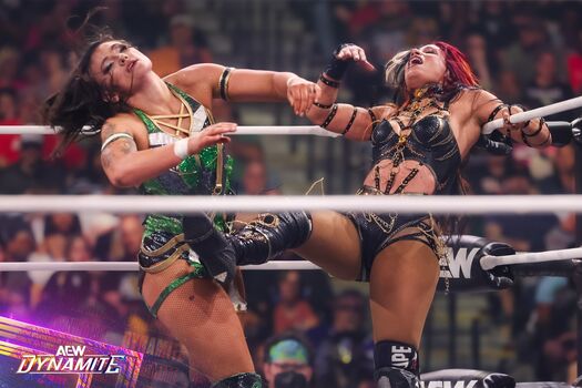 Sasha banks page leaked private photo uncensored HD quality
