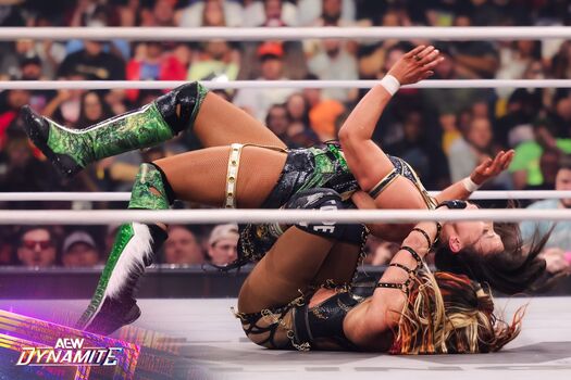 Sasha banks page leaked private photo uncensored HD quality