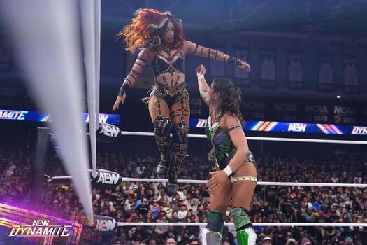 Sasha banks page leaked private photo uncensored HD quality